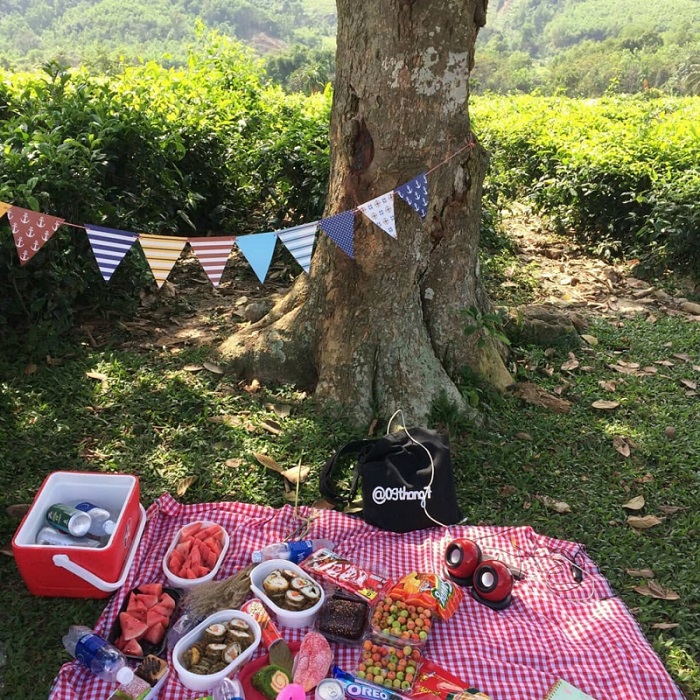 Đồi Chè Đông Giang