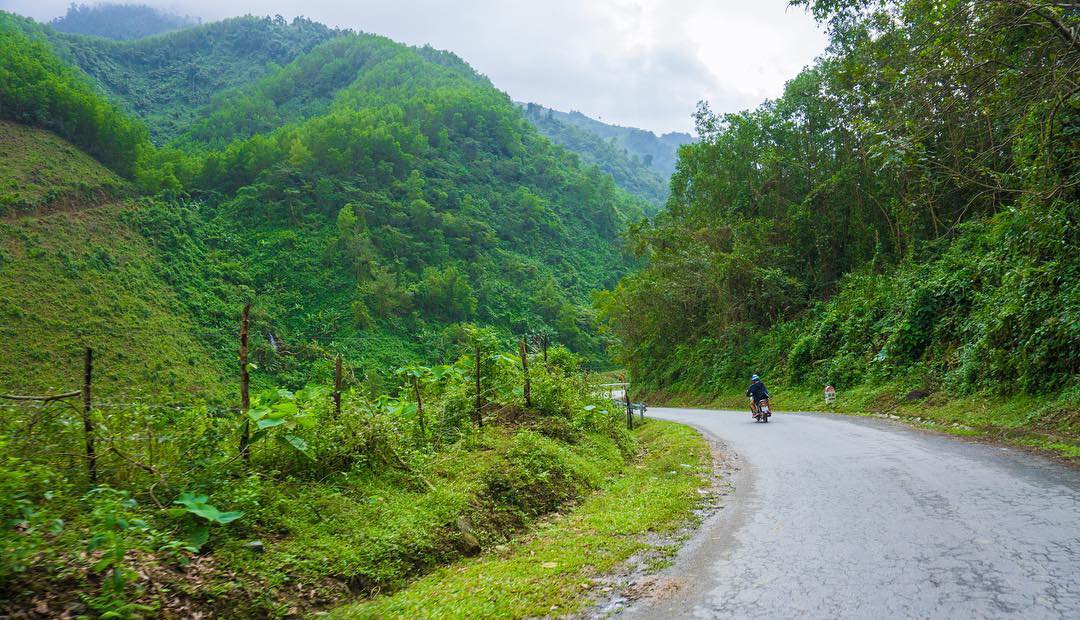 Đồi Chè Đông Giang