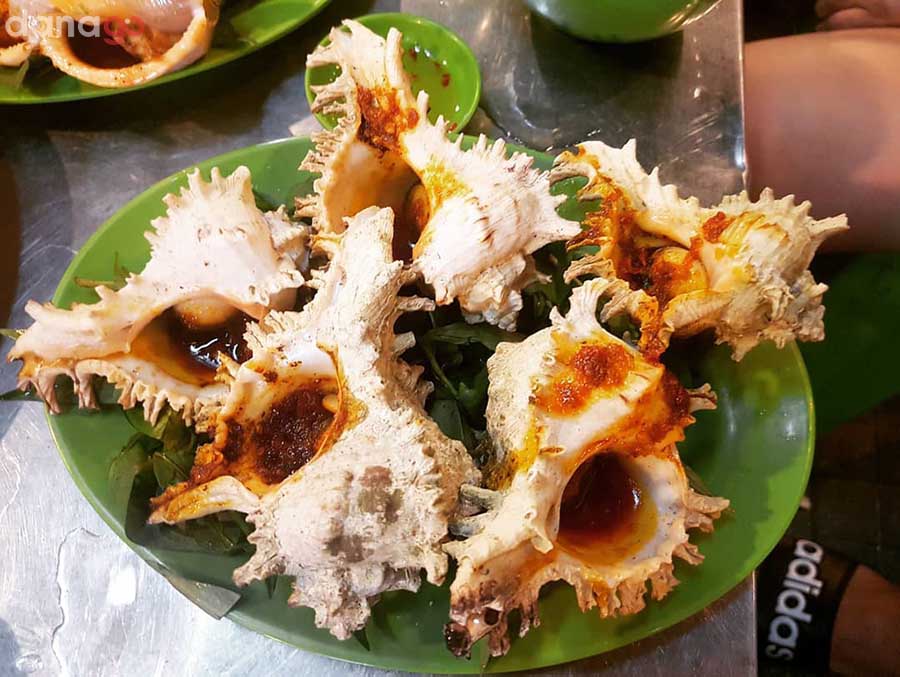 Ốc gai Phú Quốc