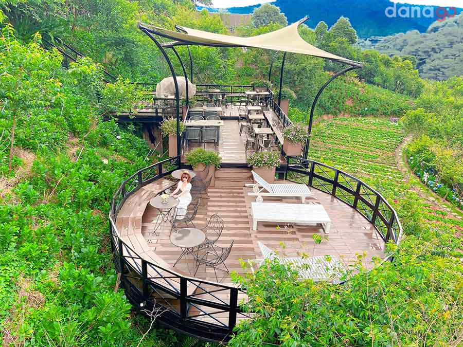 Café F cánh đồng hoa Đà Lạt