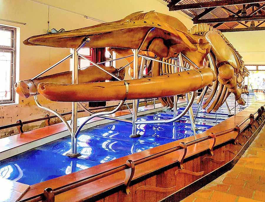 Dinh Vạn Thủy Tú