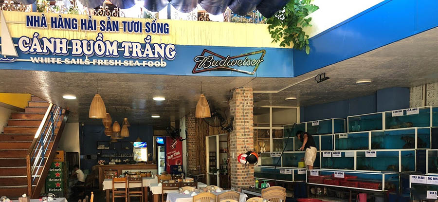 Nhà Hàng Cánh Buồm Trắng Hội An Nhà Hàng Cánh Buồm Trắng Hội An