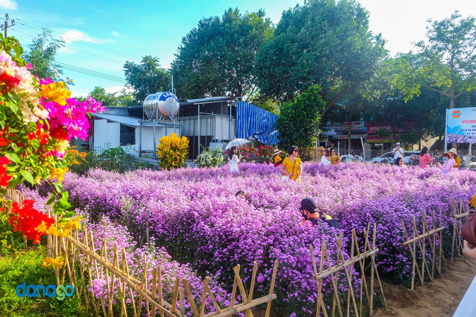 Vườn Hoa Thạch Thảo Đà Nẵng