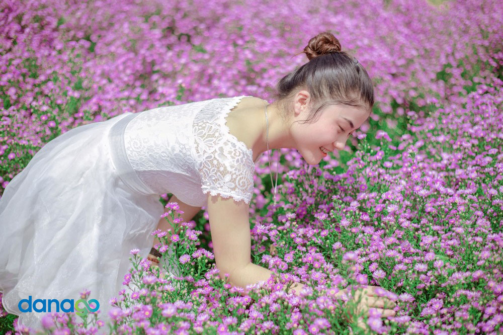 Vườn Hoa Thạch Thảo Đà Nẵng
