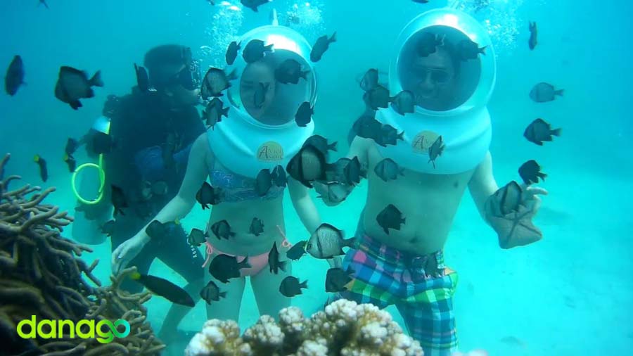 Tour Đà Nẵng Đi Cù Lao Chàm ( Đi Bộ Lặn Ngắm San Hô)