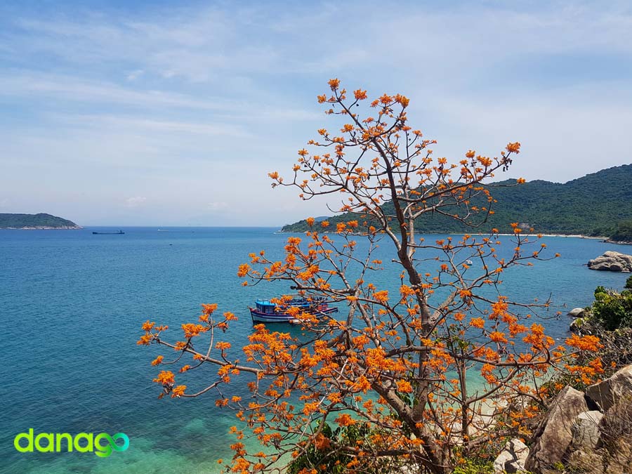 Tour Đà Nẵng Khởi Hành Từ Cần Thơ