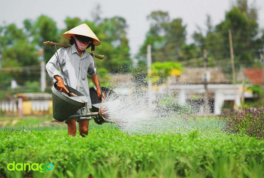 Tour Đà Nẵng Khởi Hành Từ Cần Thơ