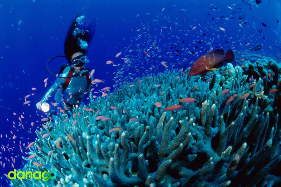 Tour Đà Nẵng Khởi Hành Từ Hà Nội
