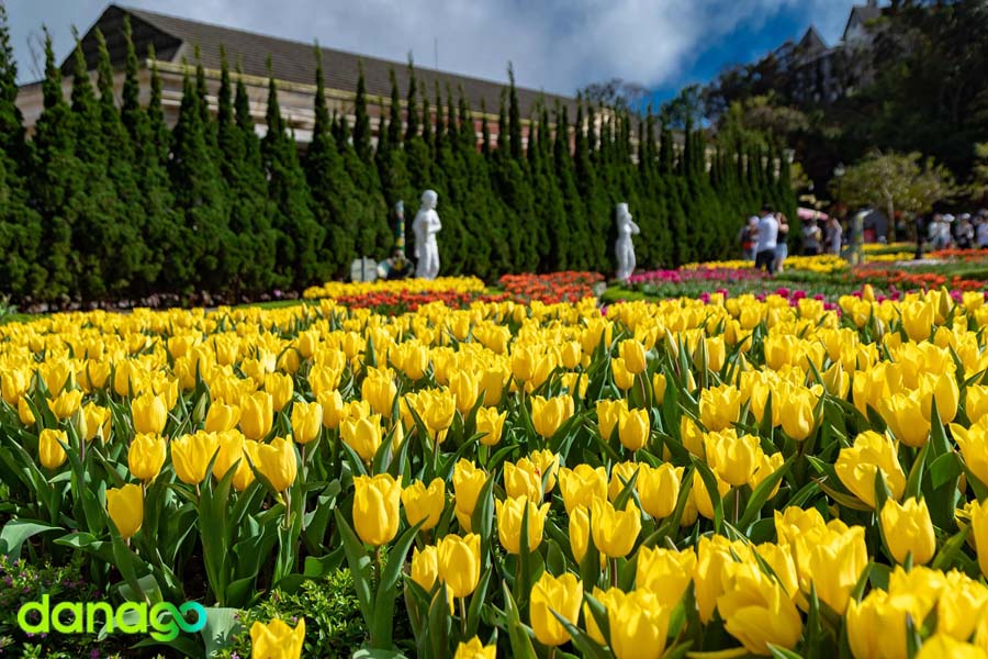 Tour Hà Nội Đi Đà Nẵng