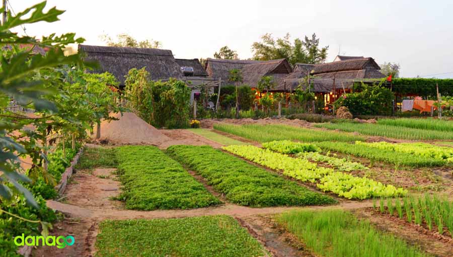 Tour Quảng Bình Đi Đà Nẵng