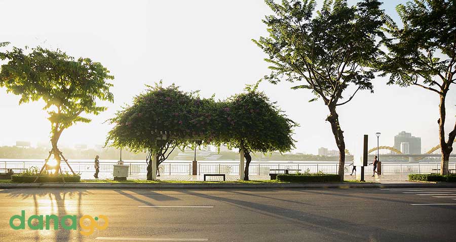 Tour Hưng Yên Đi Đà Nẵng 