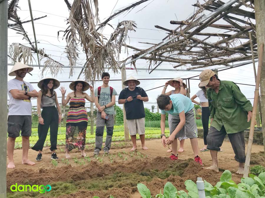 Tour Đà Nẵng Khởi Hành Từ Thanh Hóa 